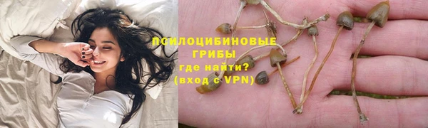 индика Абдулино