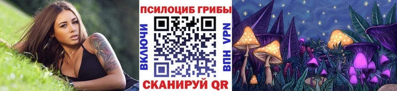 МЕГА онион  Черепаново  Галлюциногенные грибы Cubensis 